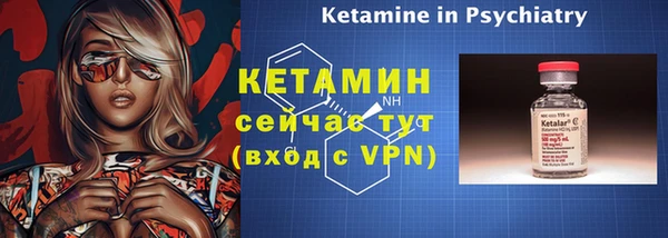 сатива Бородино