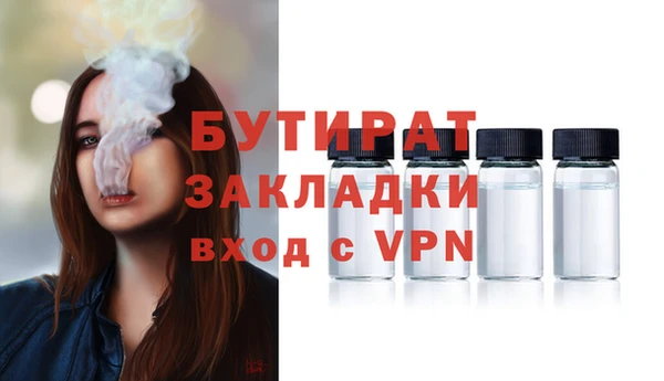 сатива Бородино