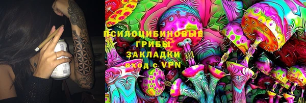 ГАЛЛЮЦИНОГЕННЫЕ ГРИБЫ Бугульма