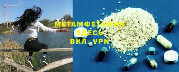сатива Бородино