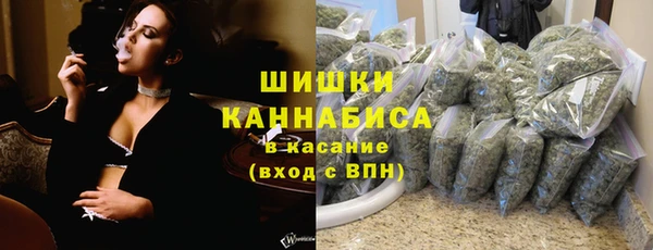 гидропоника Богданович