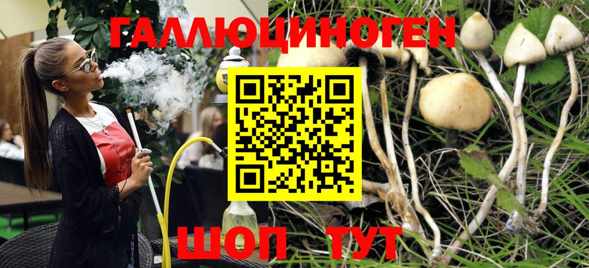 Псилоцибиновые грибы мухоморы  где найти наркотики  Минеральные Воды  Вход с VPN 