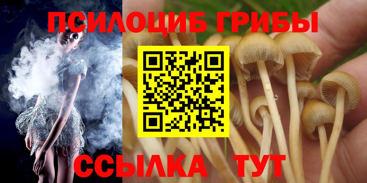 Псилоцибиновые грибы прущие грибы Минеральные Воды